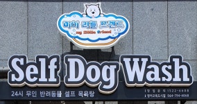 마이리틀프렌드 제주영어교육도시점