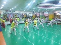용인대 태권나라