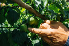 진주텃밭협동조합 초전점