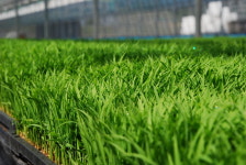 진주텃밭협동조합 초전점