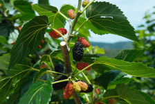 진주텃밭협동조합 초전점