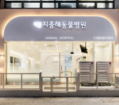 지중해동물병원
