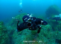 조이풀다이브리조트