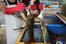박일수산