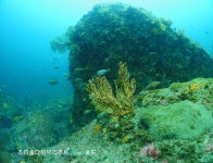 조이풀다이브리조트