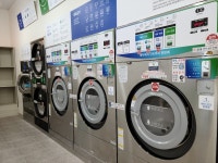 크린토피아 코인워시 대전둔산문정초교점