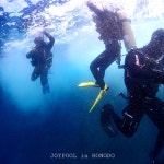 조이풀다이브리조트