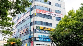 정무일도태권도