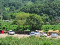 작은숲속 워케이션