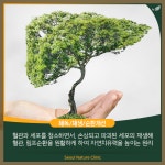 서울자연의원