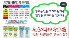 고고다이어트점핑