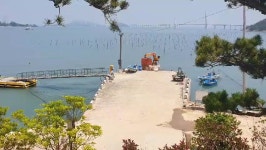 천사바다블라썸