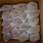 햇살가득남향농원