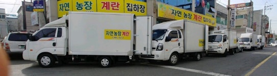 자연농장