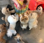 카페몽몽