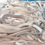 원조부산산곰장어식당
