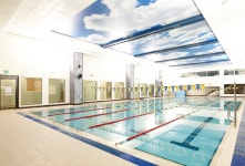 필립발리휘트니스 정자본점