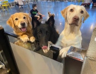 카페몽몽