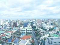 아라팰리스 호텔