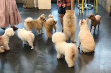 카페몽몽