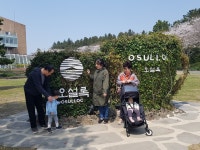제주 60바 2355호