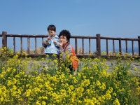 제주 60바 2355호