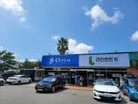 라인렌트카