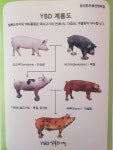 풍성한우축산정육점