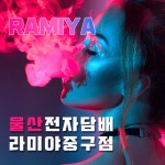 울산전자담배 라미야 중구점