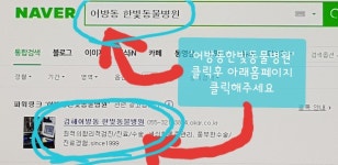 한빛동물병원