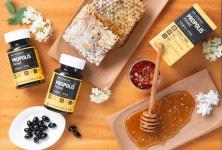 윈투어인터내셔날