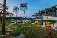더놀자 애견펜션 놀자동