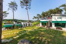 더놀자 애견펜션 놀자동