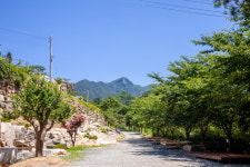 동산계곡펜션오토캠핑장