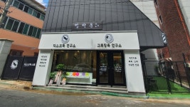 애견스쿨 디스크독연구소