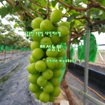 해성농원