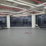 만성 퍼스트짐 주짓수