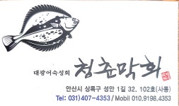 청춘막회