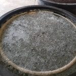삼촌네과일