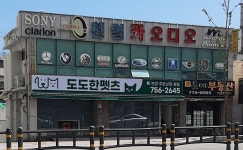 도도한펫츠