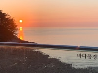 바다풍경카페