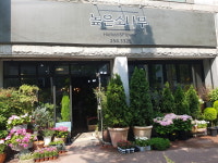 높은소나무