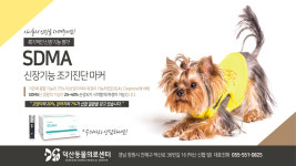 덕산동물의료센터