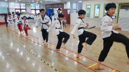 강남 경희대 태권도 트니트니