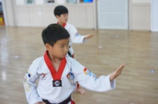 강남 경희대 태권도