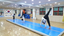 강남 경희대 태권도 트니트니