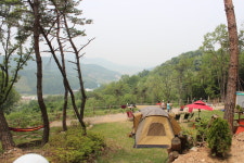 젊은농부들