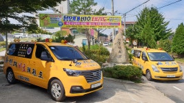 용인대비호태권도합기도