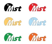 엠에스티