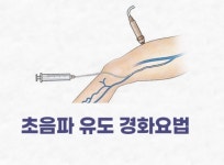 에스케이최은정성형외과의원